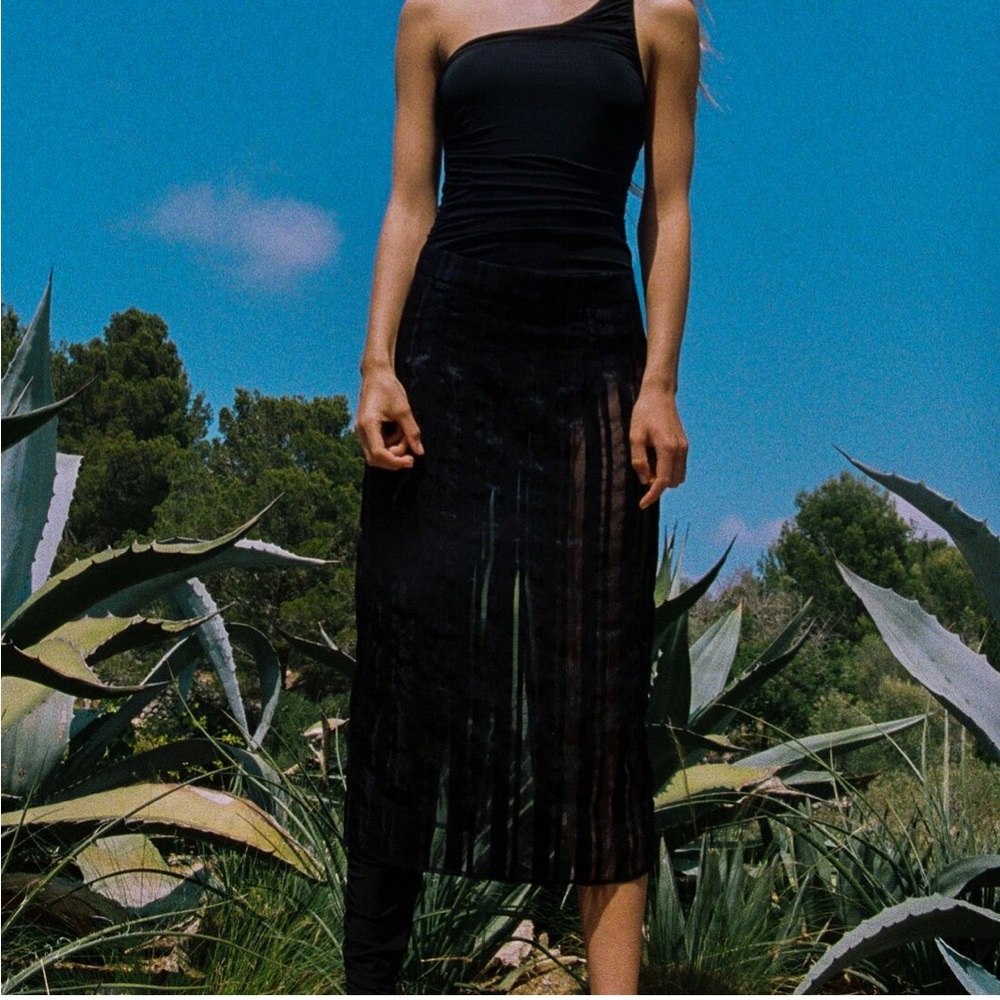 ZARA striped organza skirt
